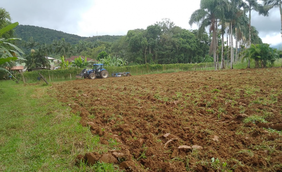 Secretaria de Agricultura de Morretes Intensifica Atendimentos Aos Produtores Rurais