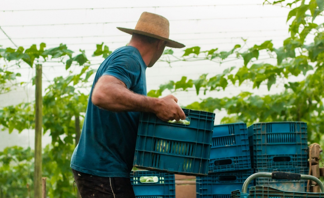 Dia do Agricultor: Morretes Celebra Quem Cultiva Com Coragem, Tradição E Esperança