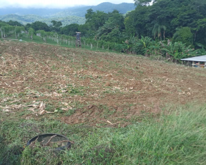 apoio-agricultura-4.png