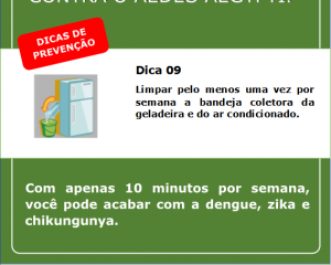 campanha-contra-a-dengue-10.png