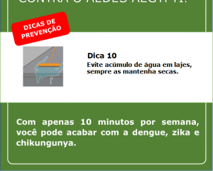 campanha-contra-a-dengue-11.png