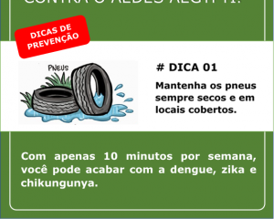 campanha-contra-a-dengue-2.png