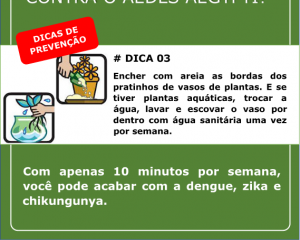 campanha-contra-a-dengue-4.png