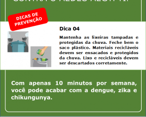 campanha-contra-a-dengue-5.png