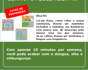 campanha-contra-a-dengue-6.png