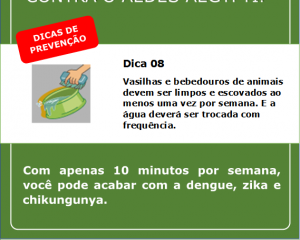 campanha-contra-a-dengue-9.png