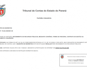 certidao-negativa-de-debito-estadual.png