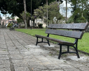 img1194.jpg