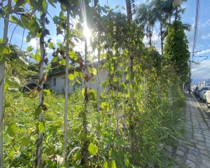 img8358.jpg