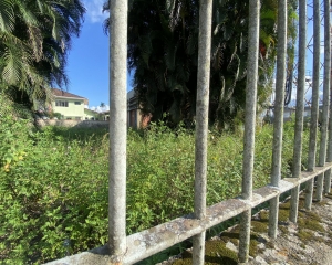 img8361.jpg