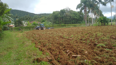 Secretaria de Agricultura de Morretes intensifica atendimentos aos produtores rurais