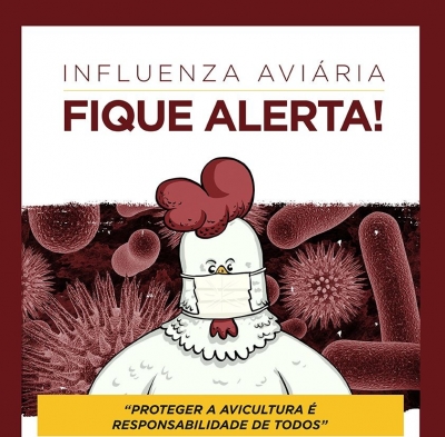Atenção produtor rural, fique atento aos sintomas das aves da sua propriedade
