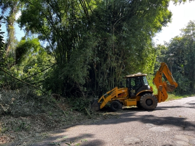 Poda de bambuzais na estrada de Barreiros é realizada com sucesso