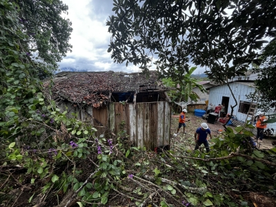 Defesa Civil e Secretaria de Meio Ambiente realizam remoção de árvore em situação de risco no Barro Branco