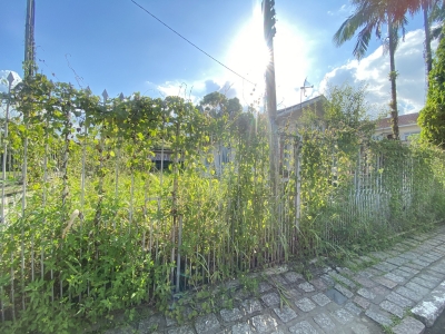 Prefeitura de Morretes reforça a obrigatoriedade do proprietário manter seus terrenos e quintais limpos