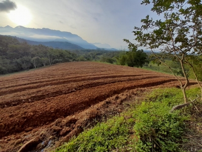 Prefeitura de Morretes vem realizando semanalmente a Patrulha Agrícola 