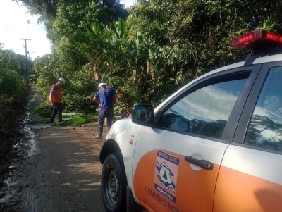 Defesa Civil de Morretes atua rapidamente em ocorrência de queda de árvore na Estrada do Bananal