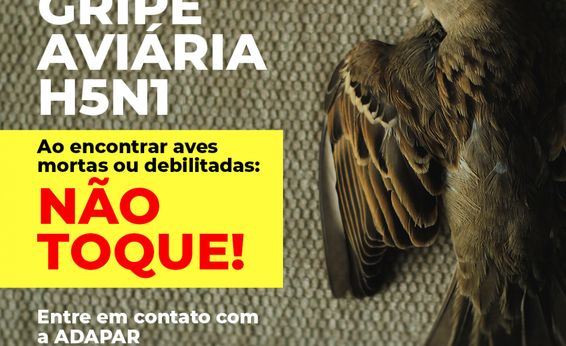 Ao Se Deparar Com Aves Silvestres, Domésticas Ou Migratórias Mortas Ou Desabilitada...