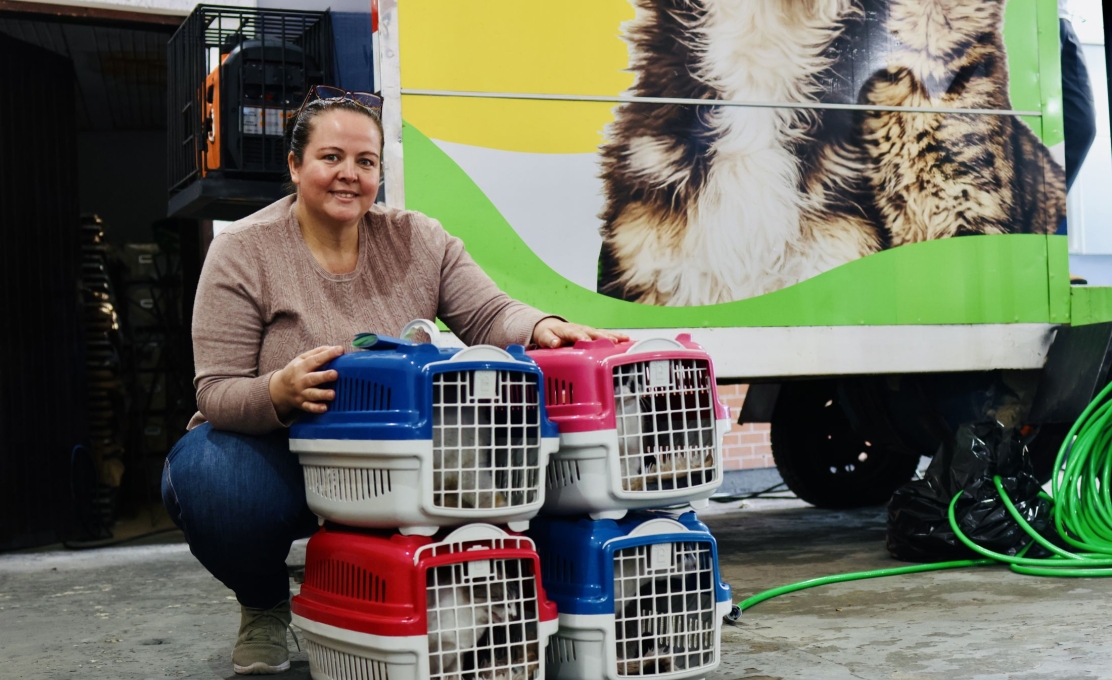 VetMóvel Paraná realiza mais de 500 atendimentos gratuitos para cães e gatos em Morretes