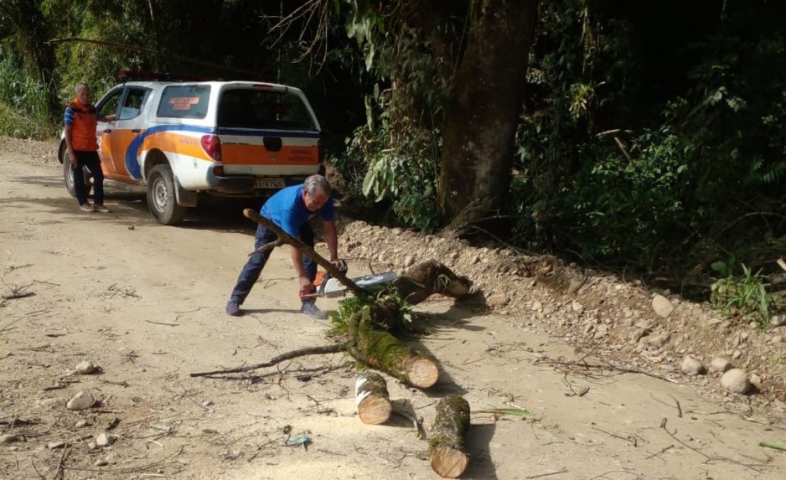 Defesa Civil de Morretes Realiza Três Atendimentos Para Remoção de árvores Após ...