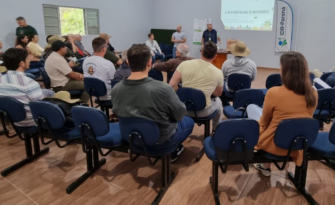 Curso de Meliponicultura Promove Capacitação A Agricultores Em Morretes