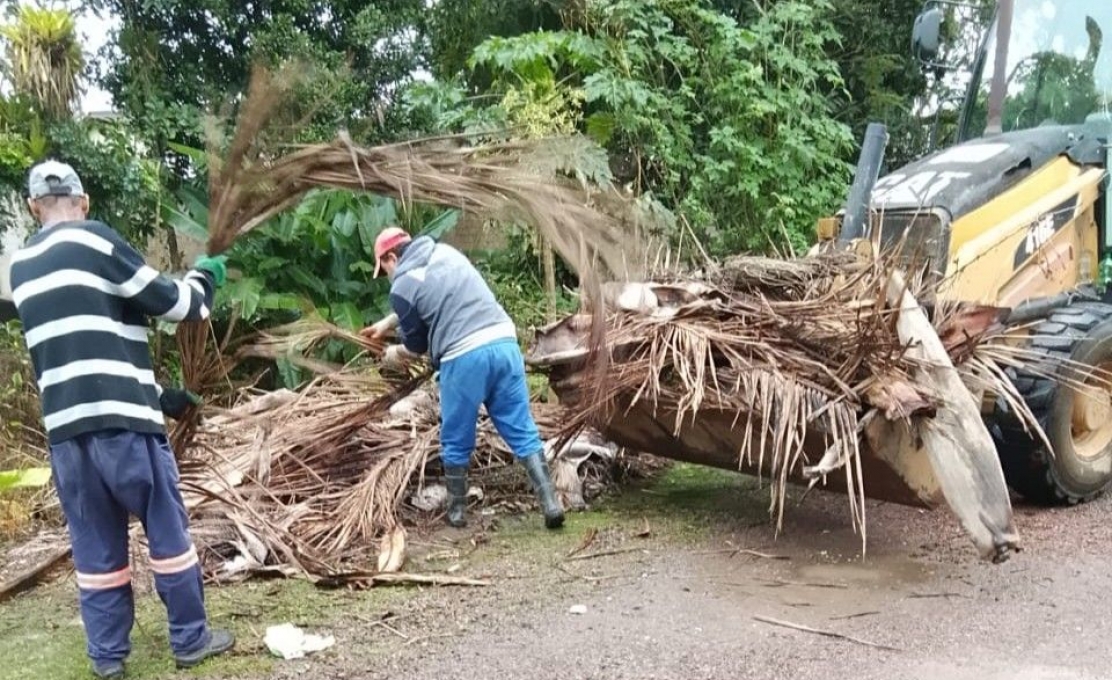 Secretaria de Meio Ambiente Realiza Ações de Limpeza E Manutenção Urbana Entre Os...