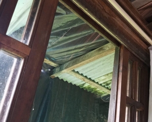 img0535.jpg