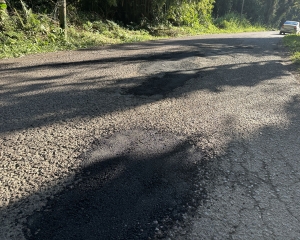 img7254.jpg