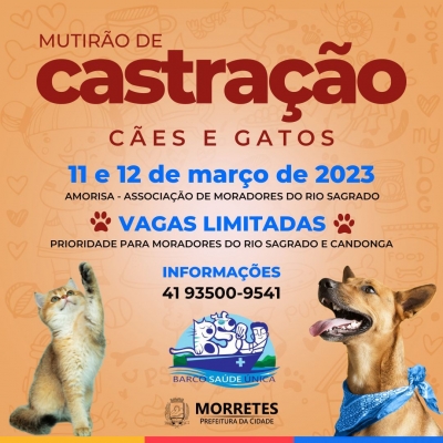 Projeto Barco Saúde Única para castração de animais acontecerá nos dias 11 e 12 de março na Amorisa