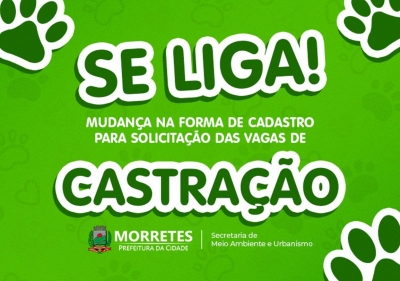 Prefeitura de Morretes atualiza sistema de solicitação de vagas para castração de animais