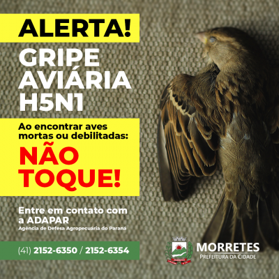 Ao se deparar com aves silvestres, domésticas ou migratórias mortas ou desabilitadas, não toque!