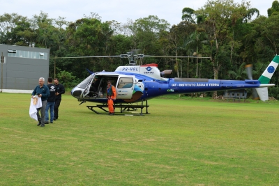 Morretes recebe distribuição de 700 mil sementes de juçara em ação de recuperação ambiental