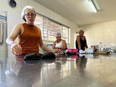 Inscrições abertas para curso gratuito de produção de ovos de Páscoa