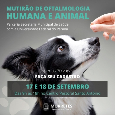 Mutirão de oftalmologia humana e animal em parceria com a UFPR