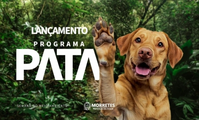 Programa de Atenção Animal (PATA) será lançado em Morretes nesta quarta-feira
