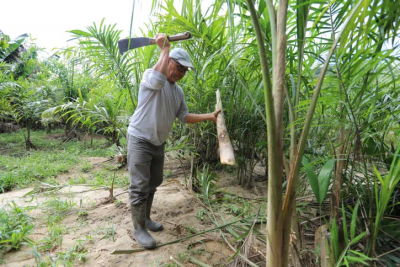 Programa quer valorizar produtos regionais no Paraná