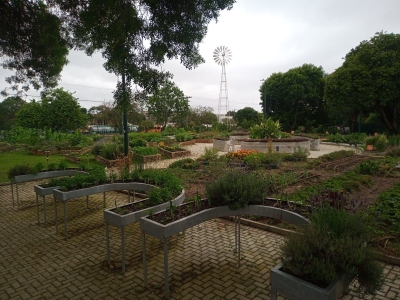 Prefeitura de Morretes iniciará o Projeto Jardim do Mel e Horta Urbana no município  