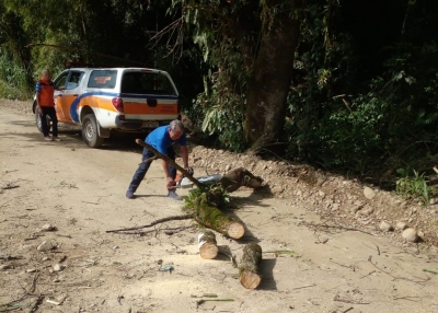 Defesa Civil de Morretes realiza três atendimentos para remoção de árvores após quedas em diferentes pontos da cidade