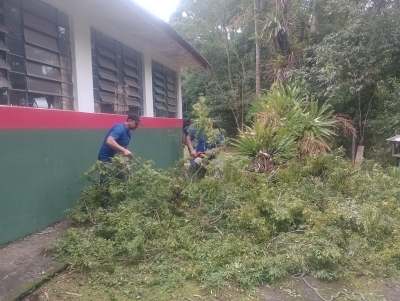 Defesa Civil realiza corte preventivo de árvores na Escola Maria Augusta Cagni