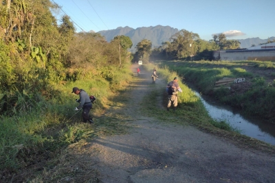 Secretaria de Meio Ambiente e Urbanismo intensifica ações de roçada e coleta vegetal em diversos bairros