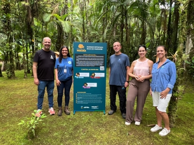 Parque Estadual do Marumbi recebe colmeias de abelhas nativas por meio do programa Poliniza Paraná